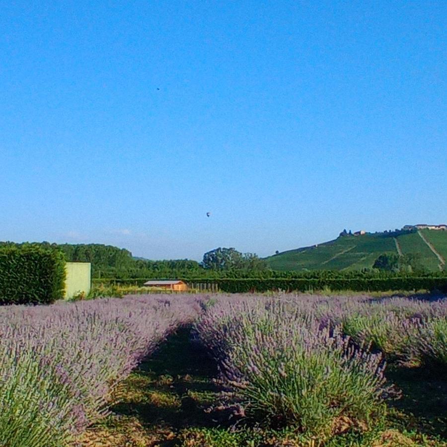 La Cascina Di Carlotta 1846 Agriturismo Alba  Bagian luar foto