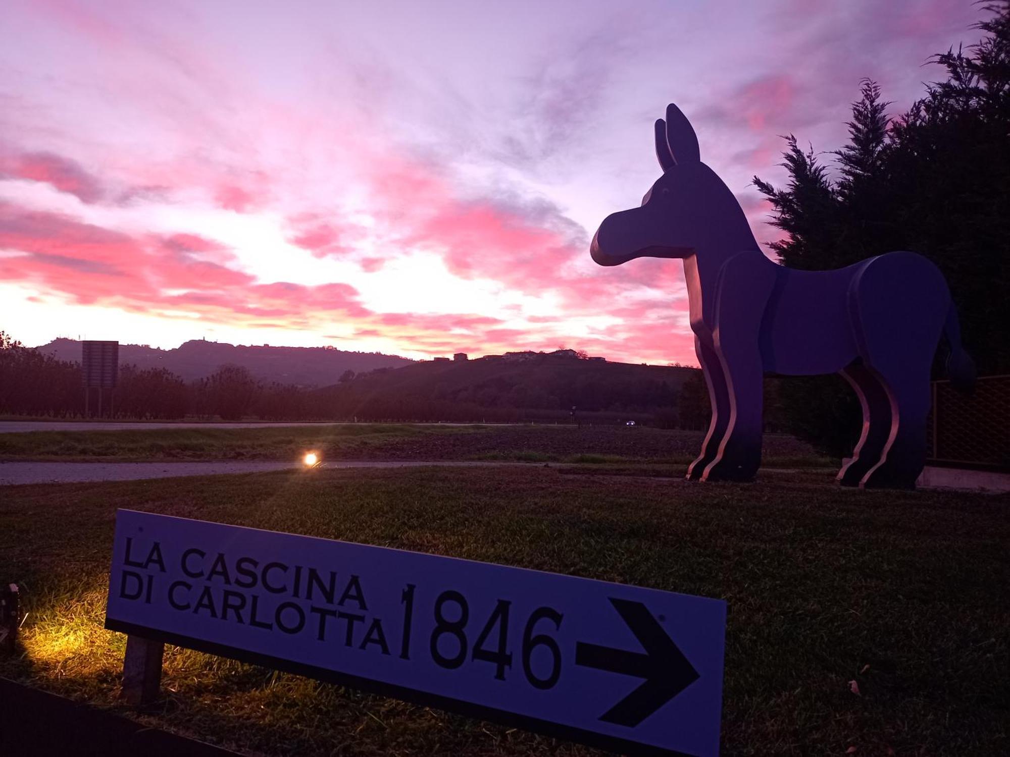 La Cascina Di Carlotta 1846 Agriturismo Alba  Bagian luar foto